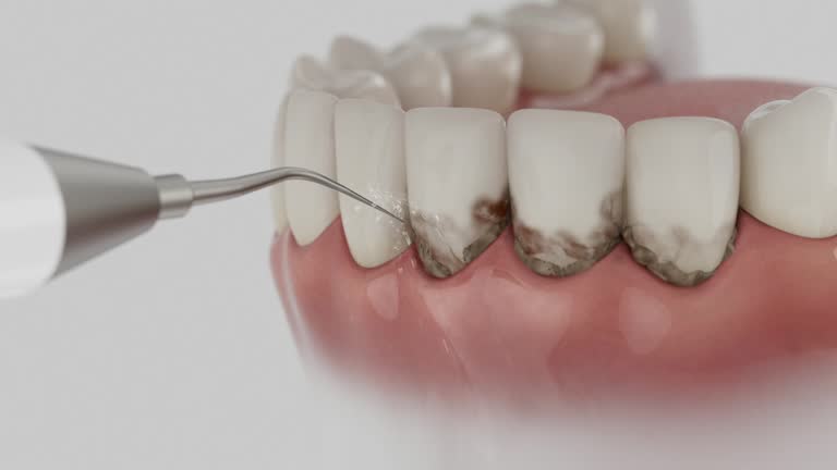 Reliable Dental contractor in Albany, LA by Dentist Open Now